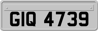 GIQ4739