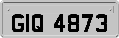 GIQ4873