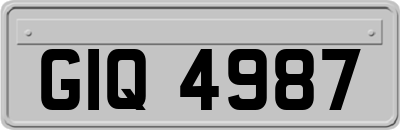 GIQ4987