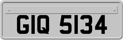 GIQ5134