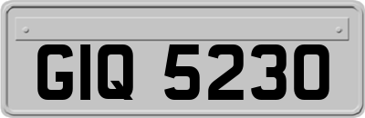 GIQ5230