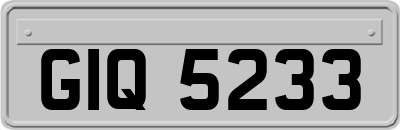 GIQ5233