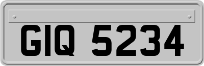 GIQ5234
