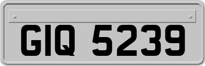 GIQ5239