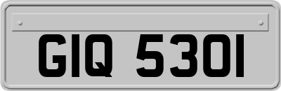 GIQ5301