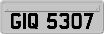 GIQ5307