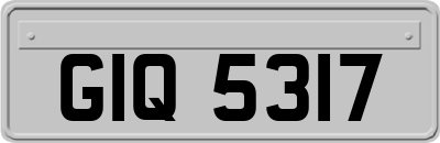 GIQ5317