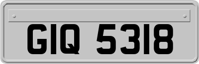 GIQ5318