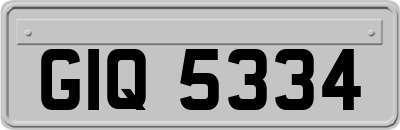 GIQ5334