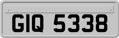 GIQ5338