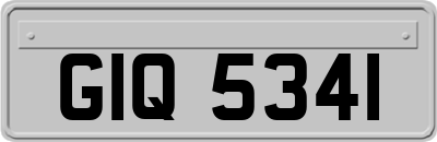 GIQ5341