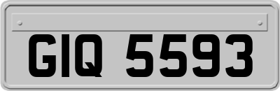 GIQ5593