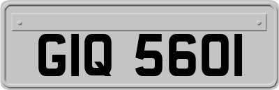GIQ5601