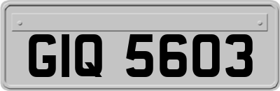 GIQ5603