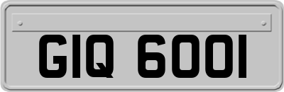 GIQ6001