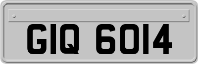 GIQ6014