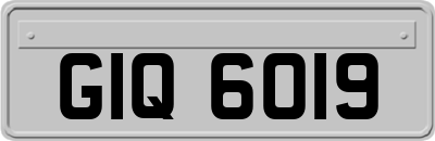 GIQ6019