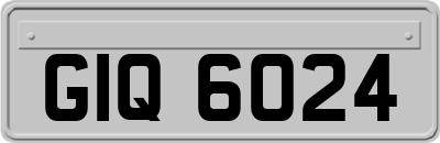 GIQ6024