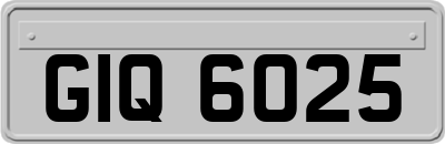 GIQ6025