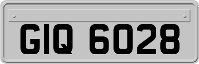 GIQ6028