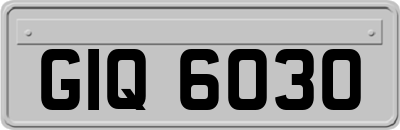 GIQ6030