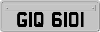 GIQ6101