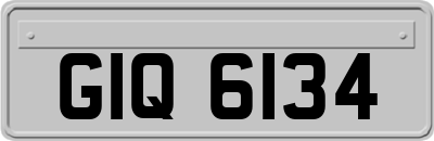 GIQ6134