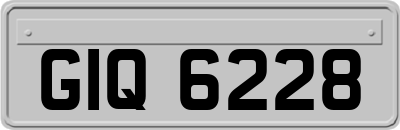 GIQ6228