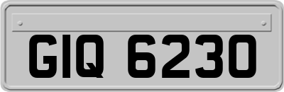 GIQ6230