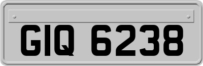GIQ6238