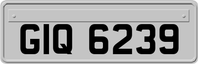 GIQ6239