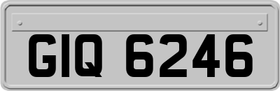 GIQ6246