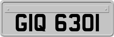 GIQ6301