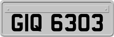 GIQ6303
