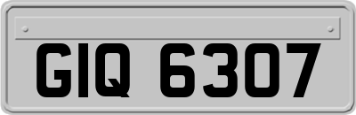 GIQ6307