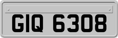 GIQ6308