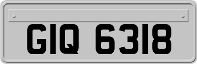 GIQ6318