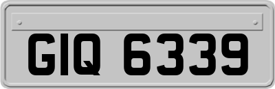 GIQ6339
