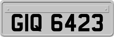 GIQ6423