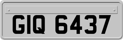 GIQ6437
