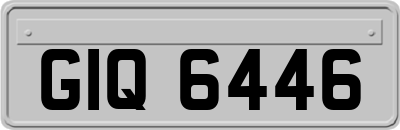 GIQ6446