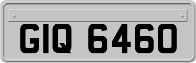 GIQ6460