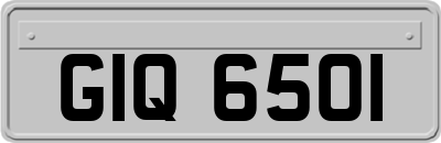 GIQ6501