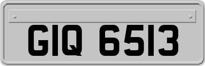GIQ6513
