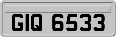 GIQ6533