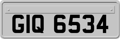 GIQ6534