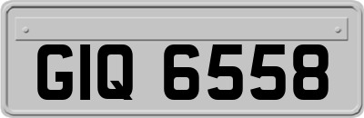 GIQ6558
