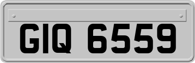 GIQ6559