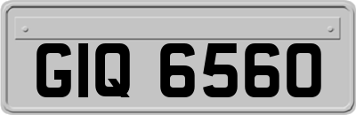 GIQ6560