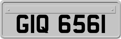 GIQ6561